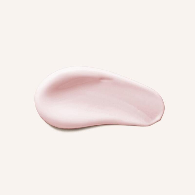 RAUSCH Farbschutz-Conditioner mit Wildrose